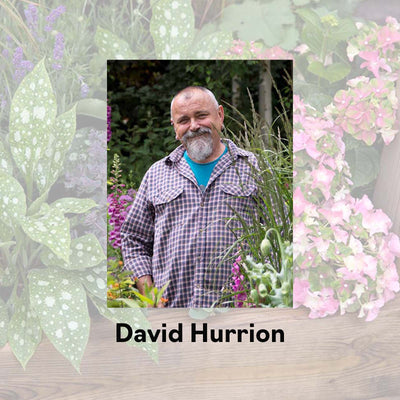 The Raised Bed Book By David Hurrion - Signed Copy