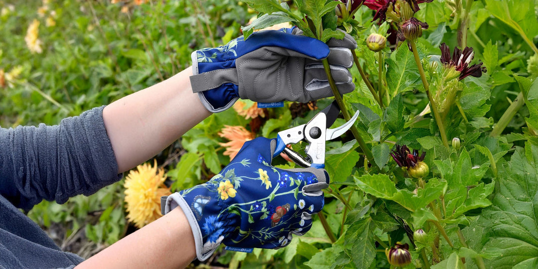What are the best secateurs for gardening