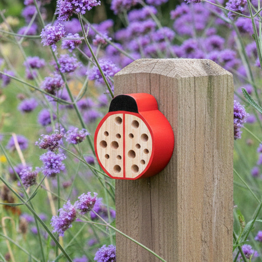 Insect Boxes - Norman & Vera