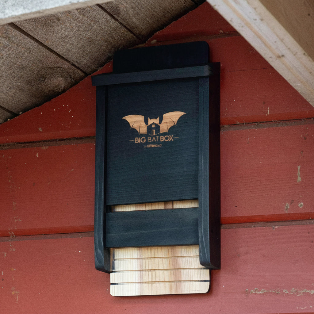 Bat Boxes