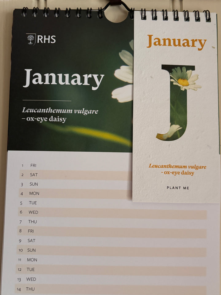 RHS &amp; Willsow Plantable Wall Flower Calendar 2027