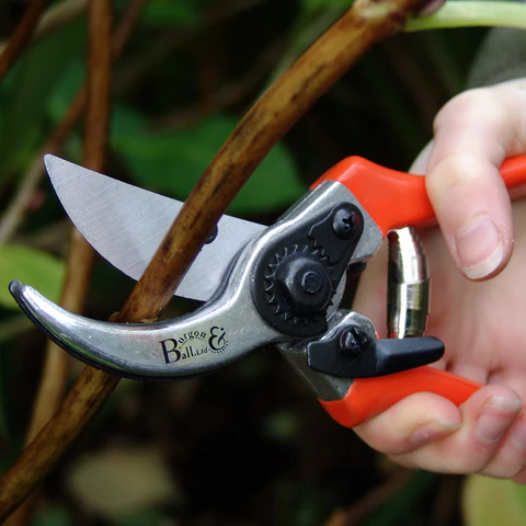 Burgon &amp; Ball Bypass Secateurs with Spare Blade