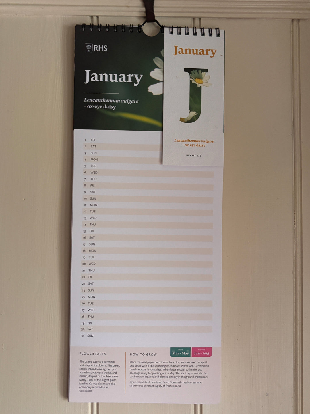 RHS &amp; Willsow Plantable Wall Flower Calendar 2027