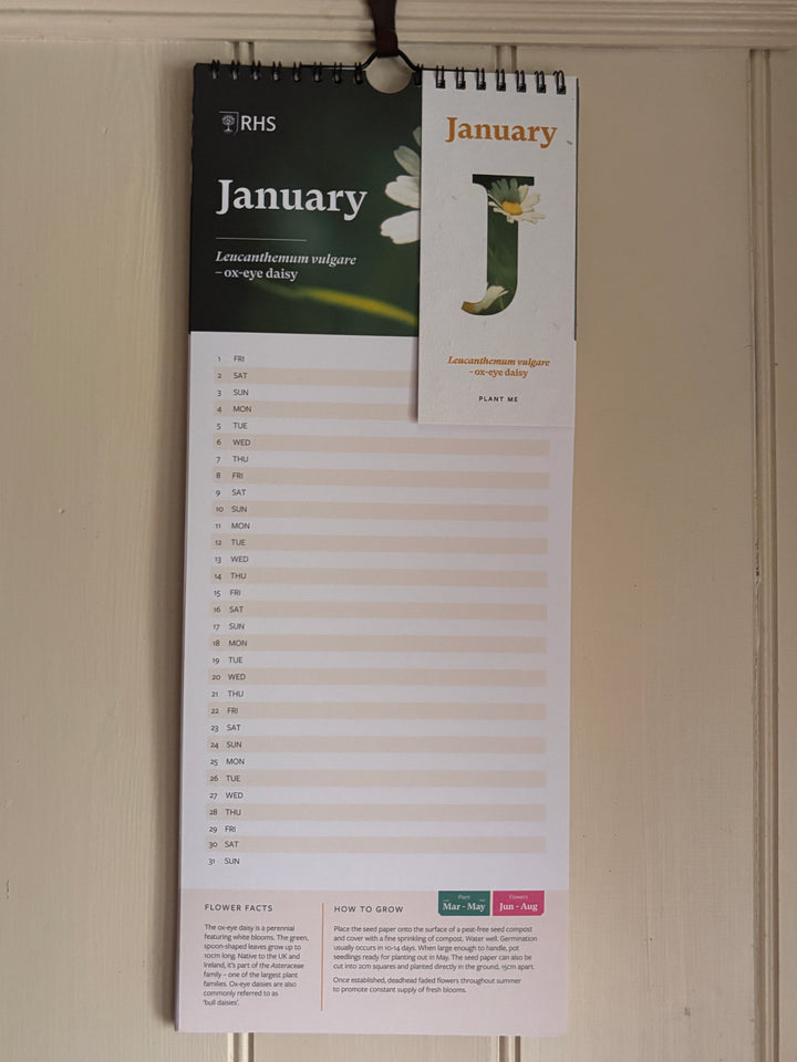RHS &amp; Willsow Plantable Wall Flower Calendar 2027