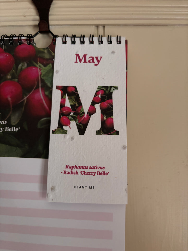 RHS &amp; Willsow Plantable Wall Veg &amp; Herb Calendar 2027