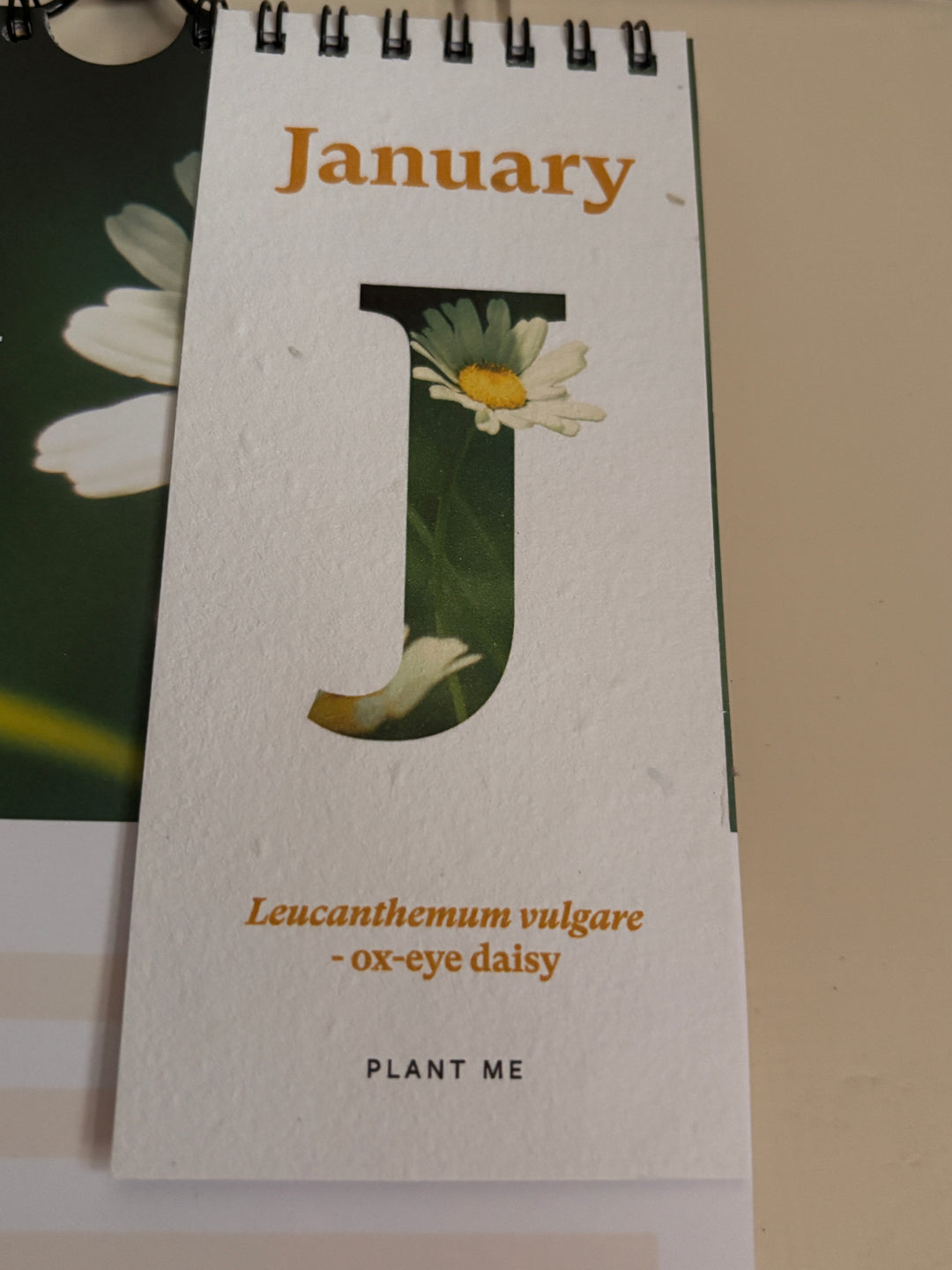 RHS &amp; Willsow Plantable Wall Flower Calendar 2027