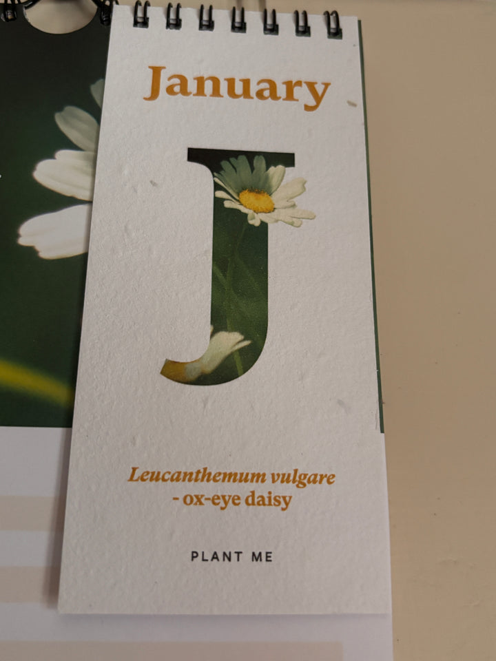 RHS &amp; Willsow Plantable Wall Flower Calendar 2027