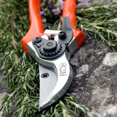 Burgon &amp; Ball Bypass Secateurs with Spare Blade
