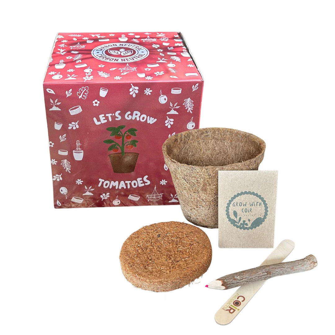 Gardening kit including sunflower seeds, label and twig pencil with compressed coir compost disc and coir fibre pot