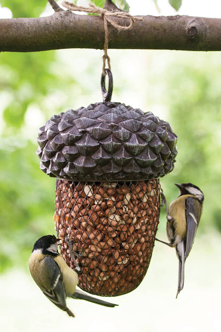 Acorn Design Bird Feeder