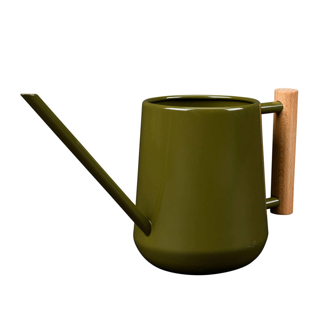 Green watering can with a wooden handle on a white background