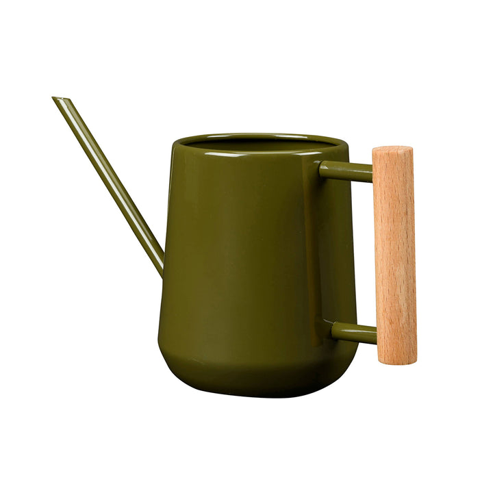 Green watering can with a wooden handle on a white background