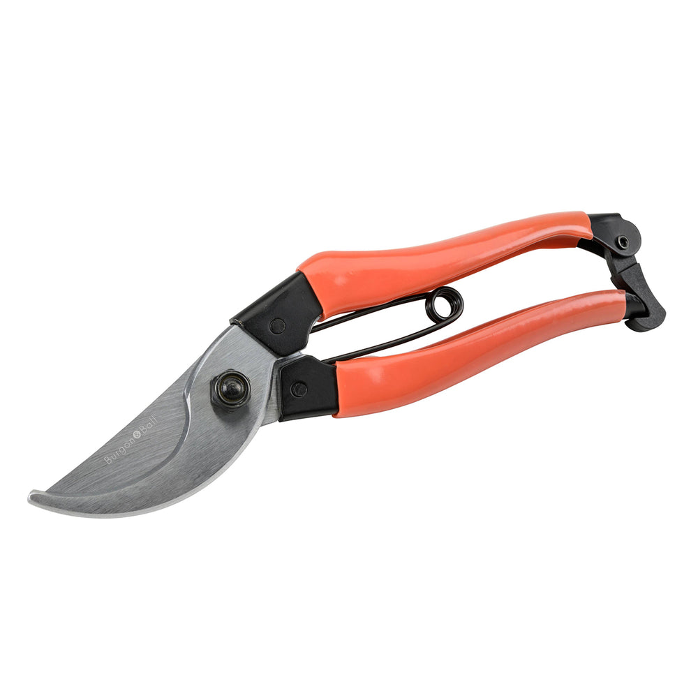 Gardening shears with orange handles on a white background