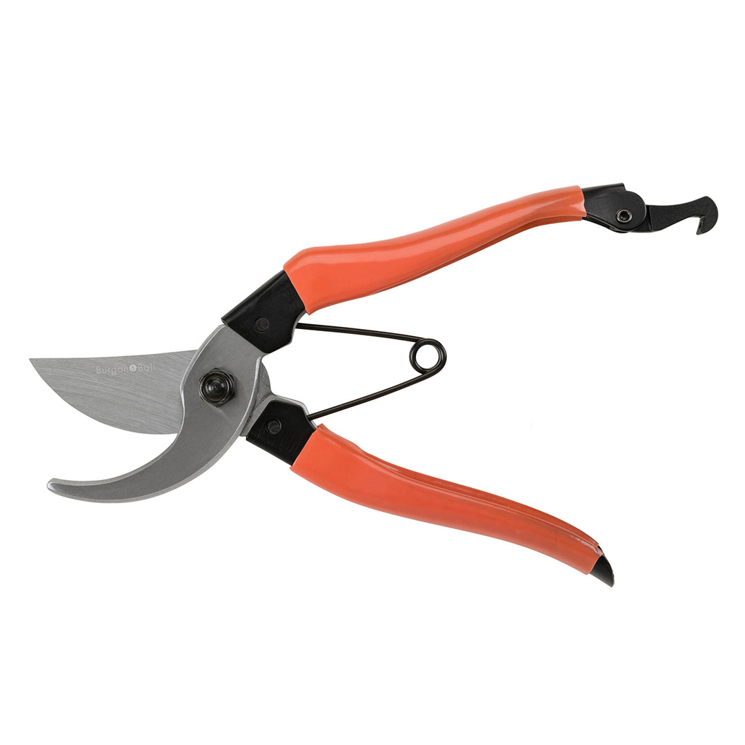 Gardening shears with orange handles on a white background