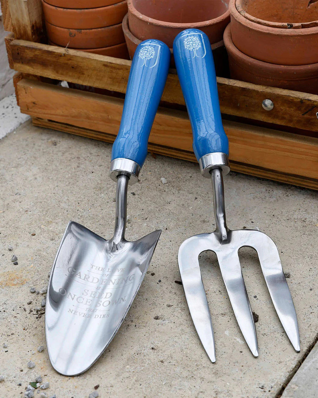 Gardening tools with blue handles on a concrete surface with terracotta pots in the background.