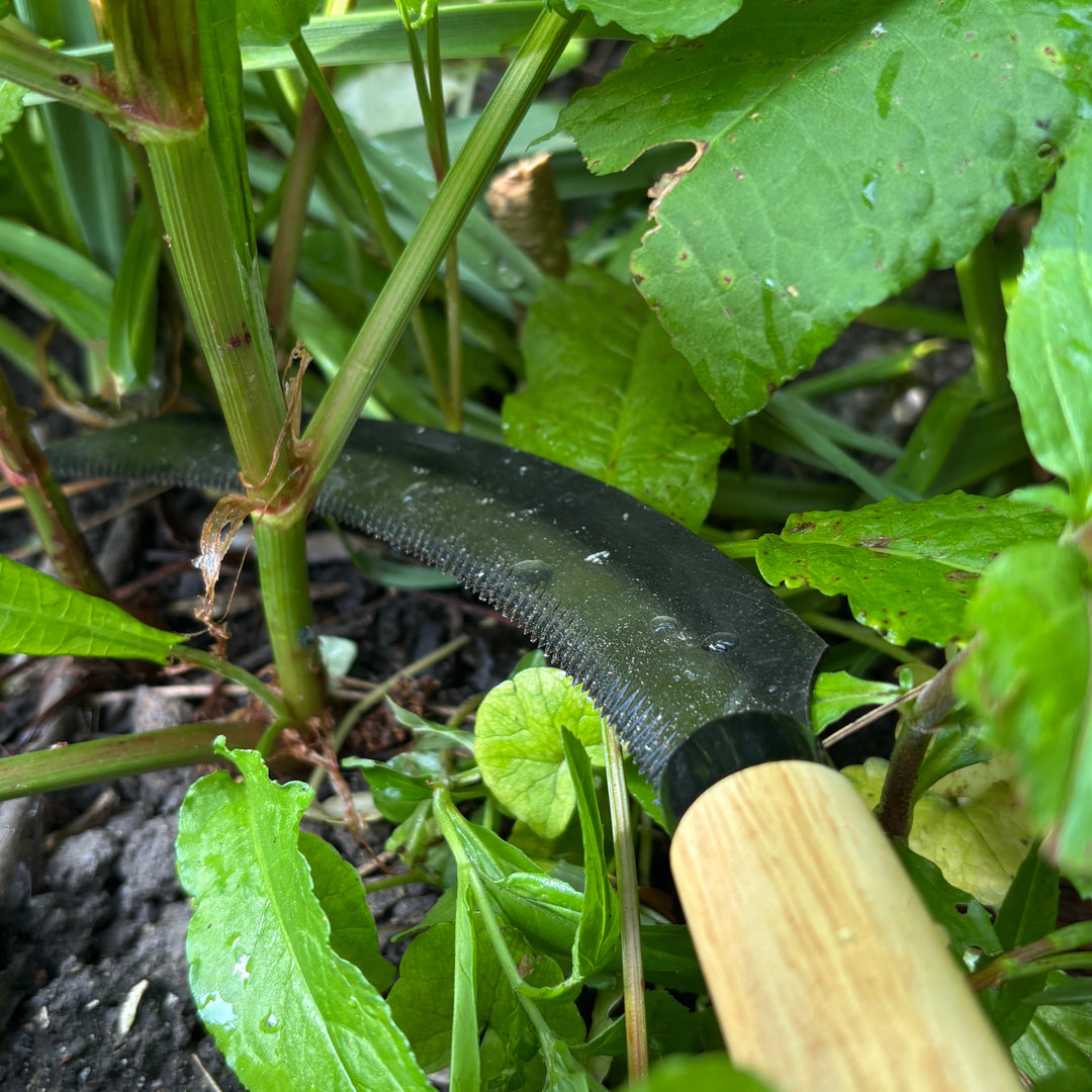 Hand sickle gardening tool being used to cut through stems of weeds