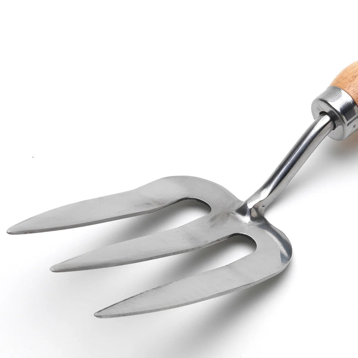 Burgon &amp; Ball RHS Endorsed Stainless Steel Gardening Hand Fork, close detail of the three tapered stainless steel tines