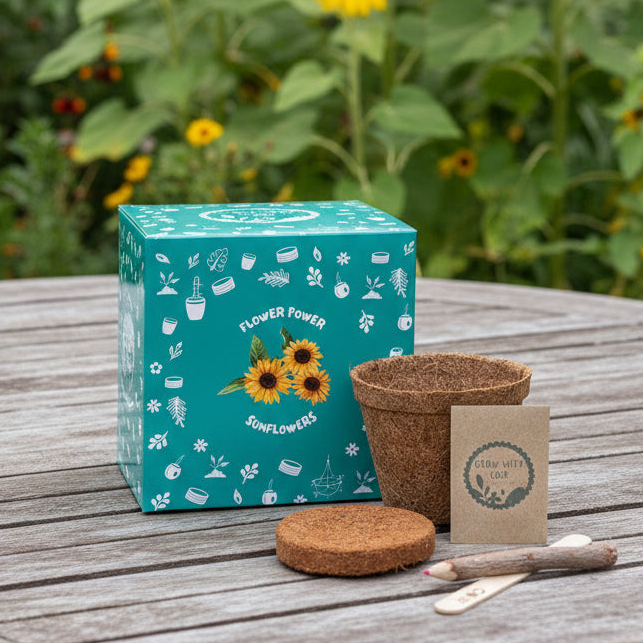 Coir Products Kids Grow Your Own Sunflower Kit