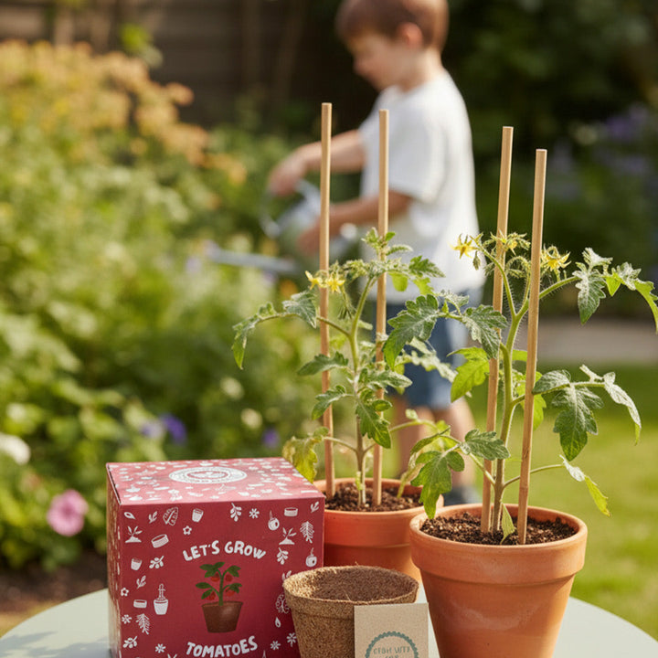 Potted plants and gardening tools on a table with a child in the background
