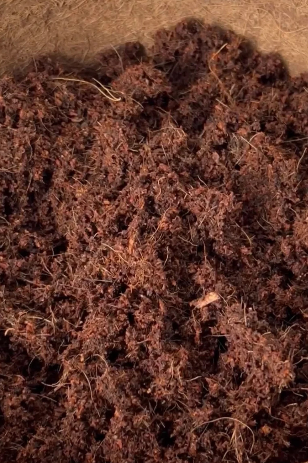 Coir Products Vital Grow 650g Compressed Block Potting Compost Mix