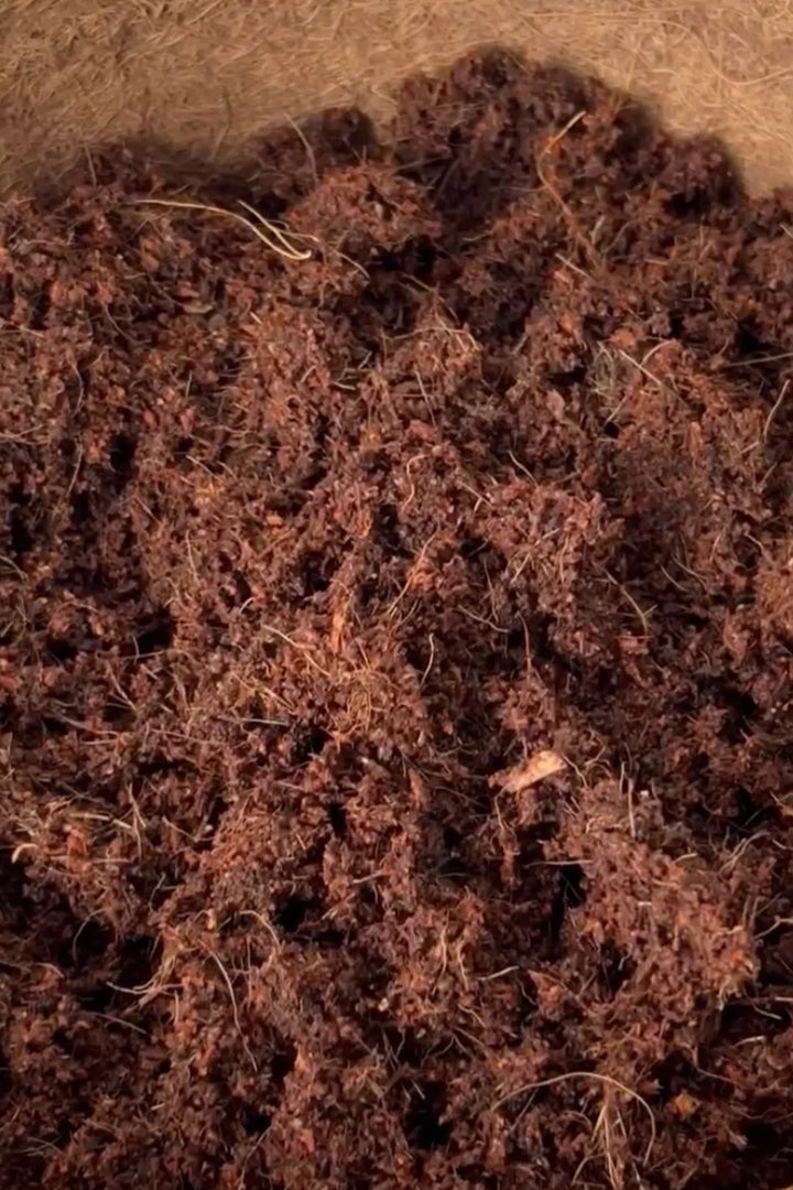 Coir Products Vital Grow 650g Compressed Block Potting Compost Mix