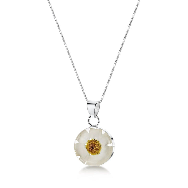 Shrieking Violet® Sterling Silver Real Daisy Round Pendant Necklace