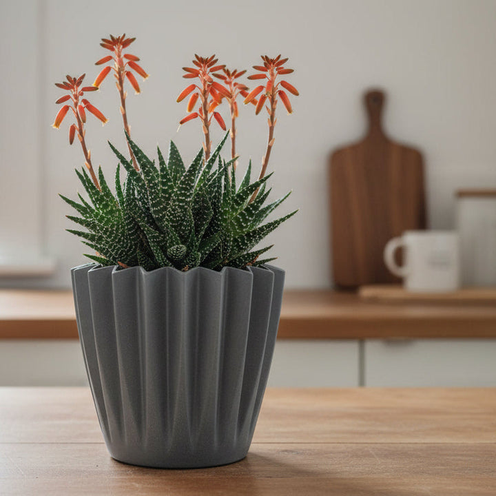 Potted plant with orange flowers in a grey decorative pot on a wooden surface.