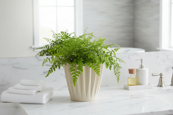 Earthy Recycled Bamboo Fibre Natural Corrugated Pot Cover