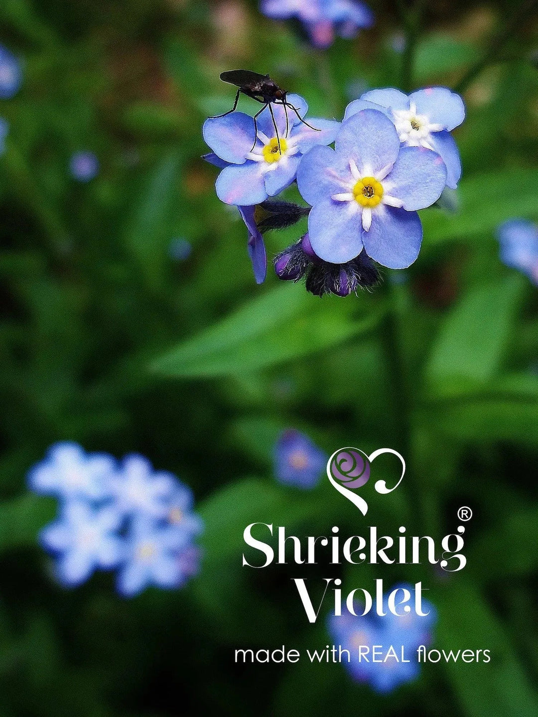 Shrieking Violet® Forget-Me-Not Flowers Round Pendant Necklace