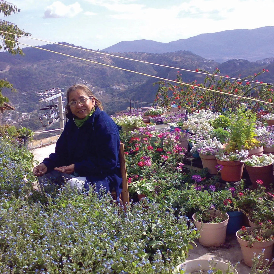 Shrieking Violet® Gold Plated Poppy Flower Charm Bracelet