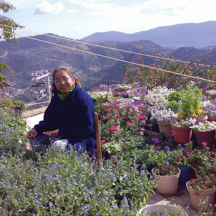 Shrieking Violet® Gold Plated Poppy Flower Charm Bracelet