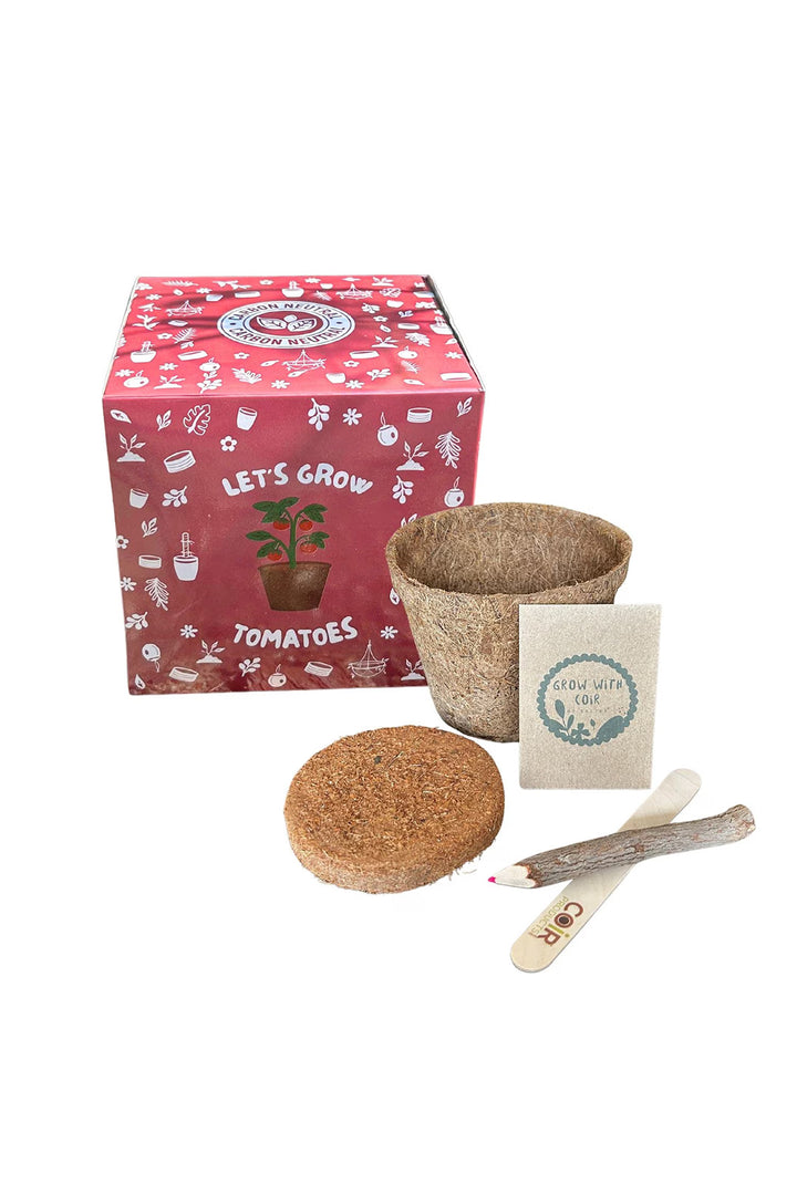 Coir Products Kids Grow Your Own Tomato Kit
