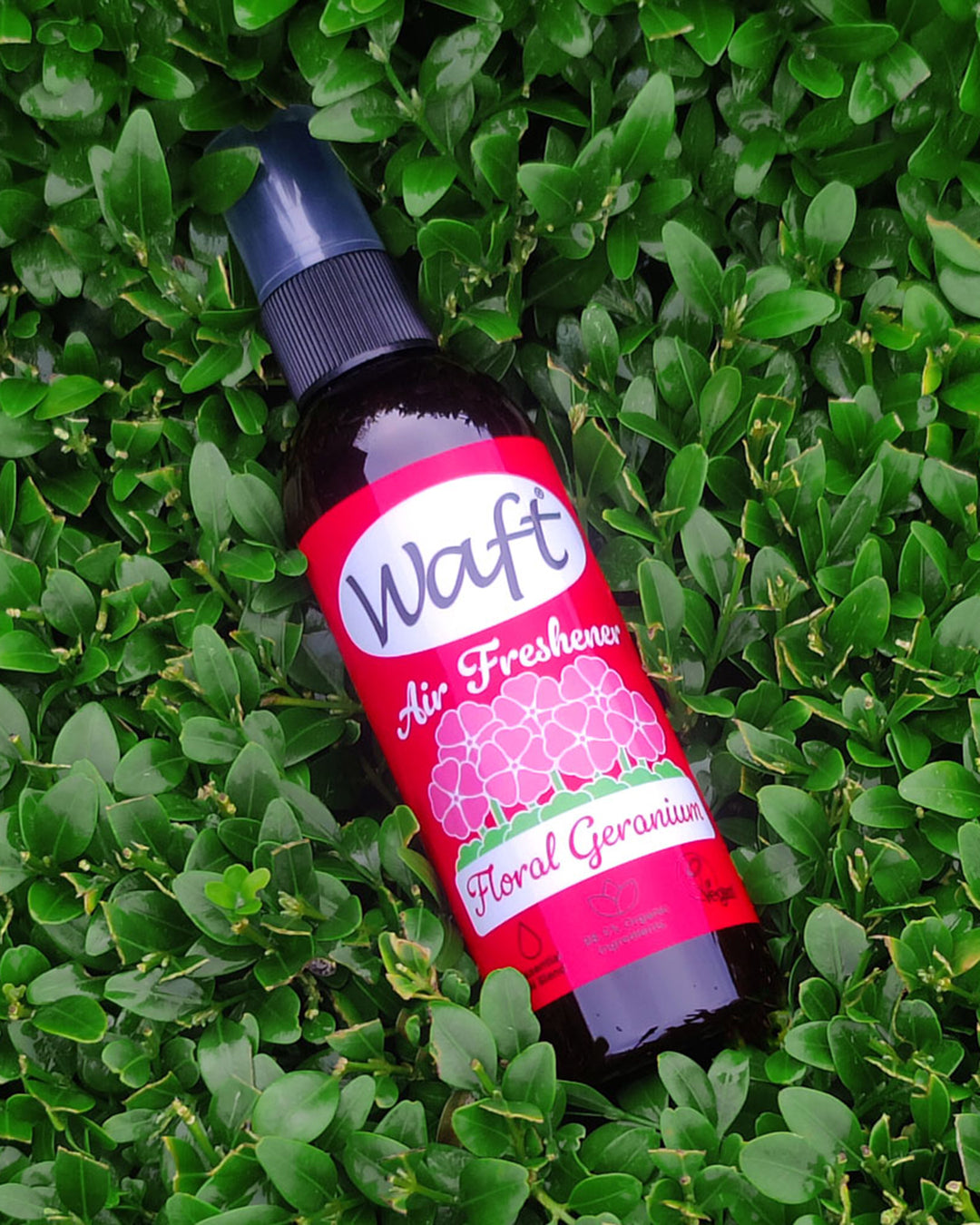 Waft air freshener bottle on green foliage