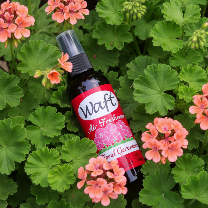 LoofCo Waft Geranium Essential Oil Air Freshener Room Fragrance