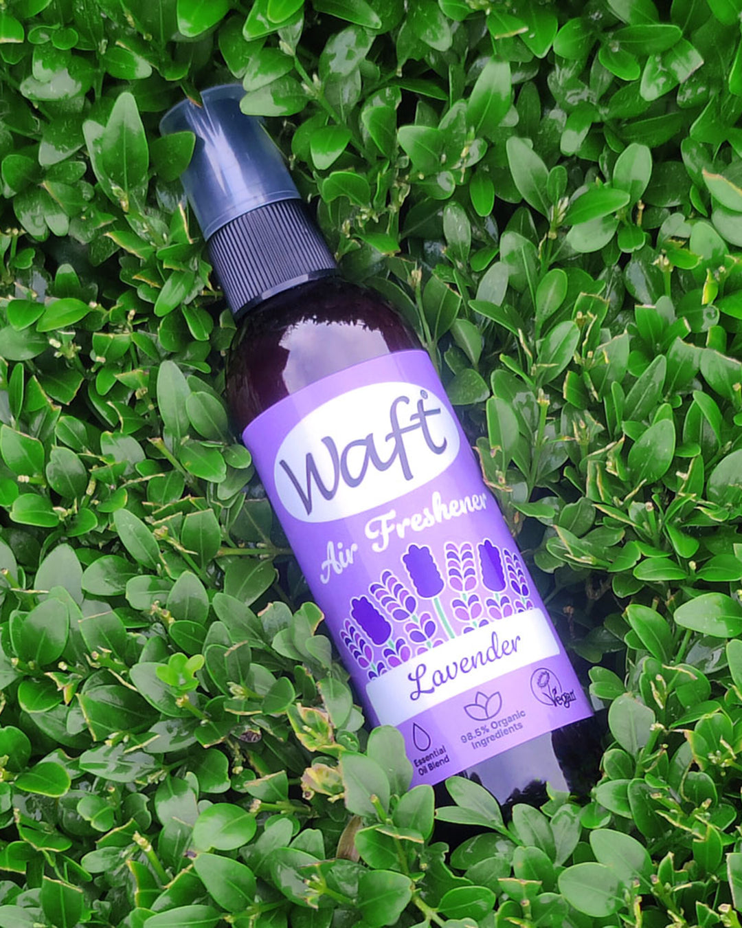 Waft lavender air freshener bottle on a green leafy background