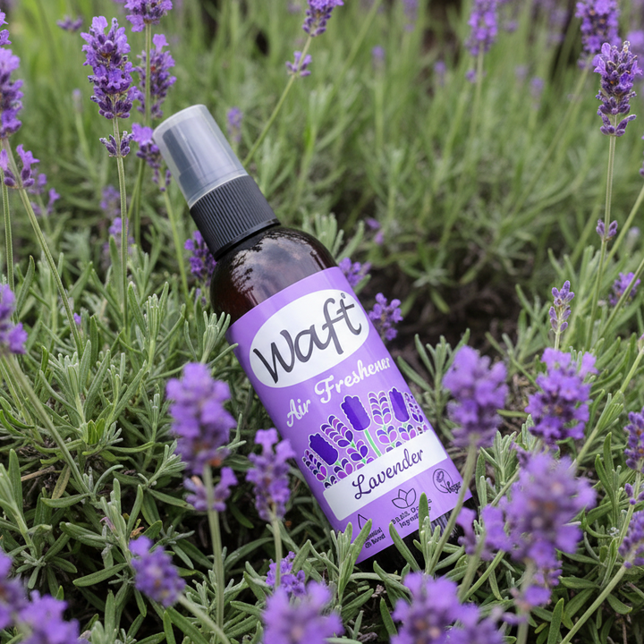 LoofCo Waft Lavender Essential Oil Air Freshener Room Fragrance