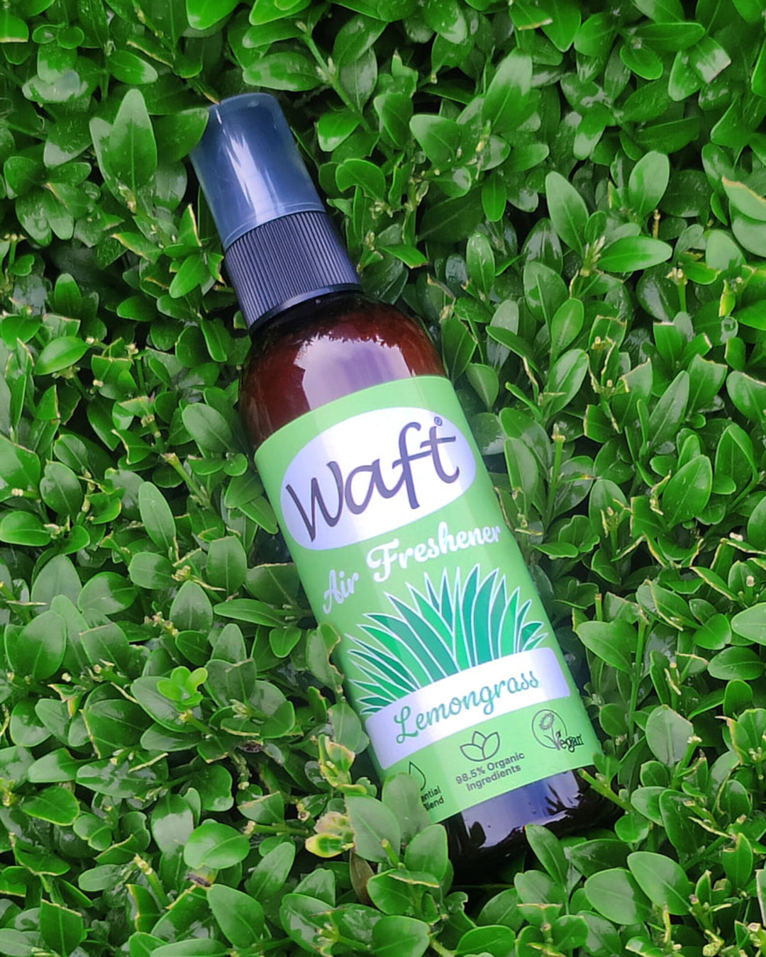 Waft air freshener bottle on a green leafy background