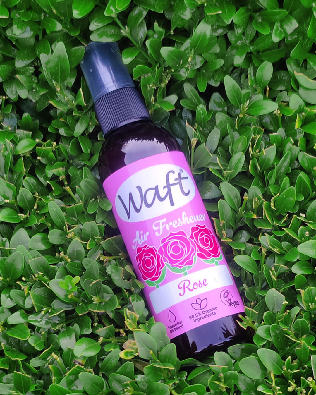 Waft air freshener bottle with purple label on green leaves