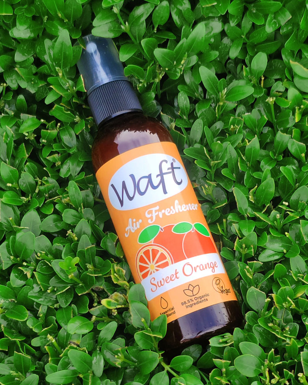 Waft Sweet Orange air freshener bottle on green leaves
