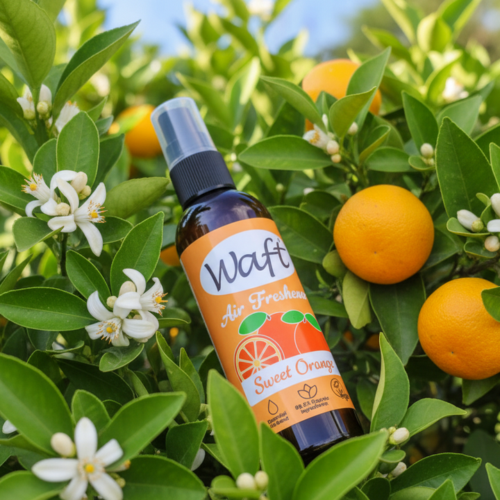 LoofCo Waft Sweet Orange Essential Oil Air Freshener Room Fragrance