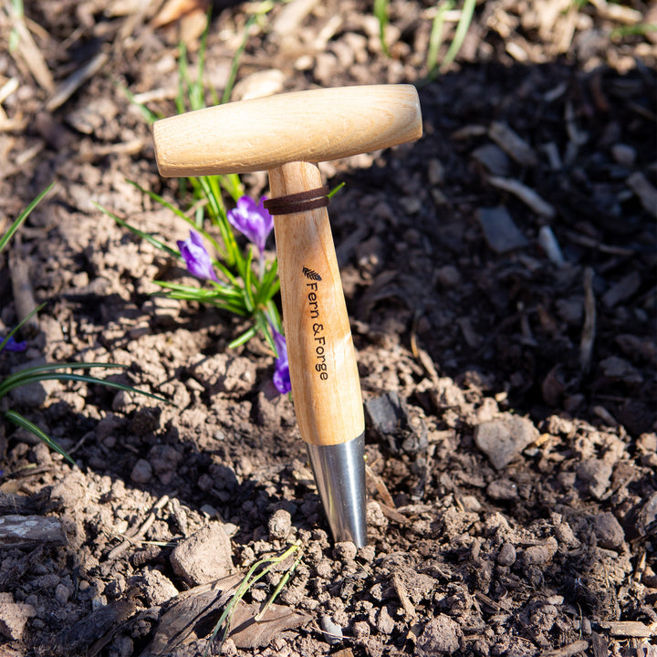 Nutscene Fern and Forge hand dibber with ash T handle standing point down in garden soil beside purple crocus flowers