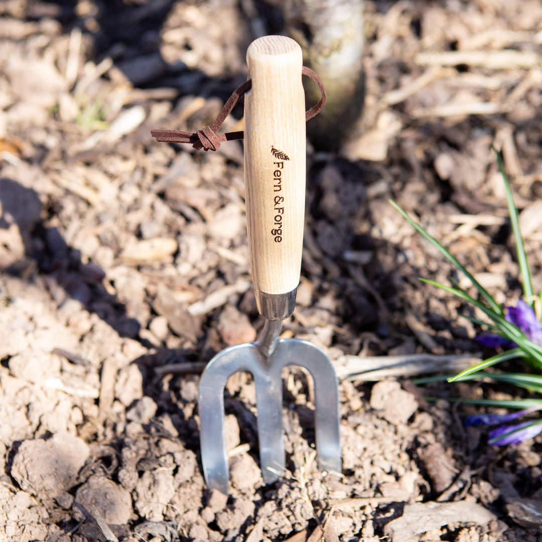Nutscene Fern and Forge hand fork pushed into garden soil beside purple crocus flowers, ash handle upright