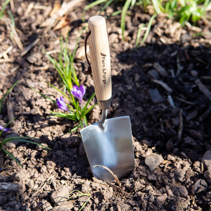Nutscene Fern and Forge hand trowel with stainless steel blade and ash handle standing in garden soil beside purple crocus flowers