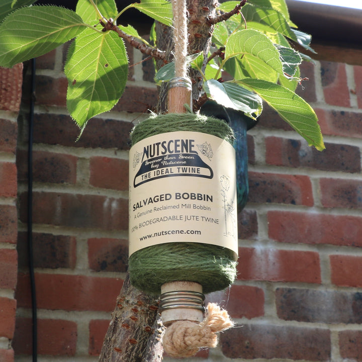 A green Nutscene reel of garden twine on a  mill bobbin hanging from a tree with a brick wall background
