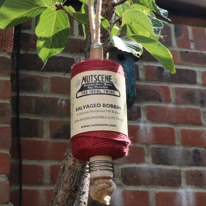 Spool of garden twine on a mill bobbin loop hanging from a tree and a brick wall background