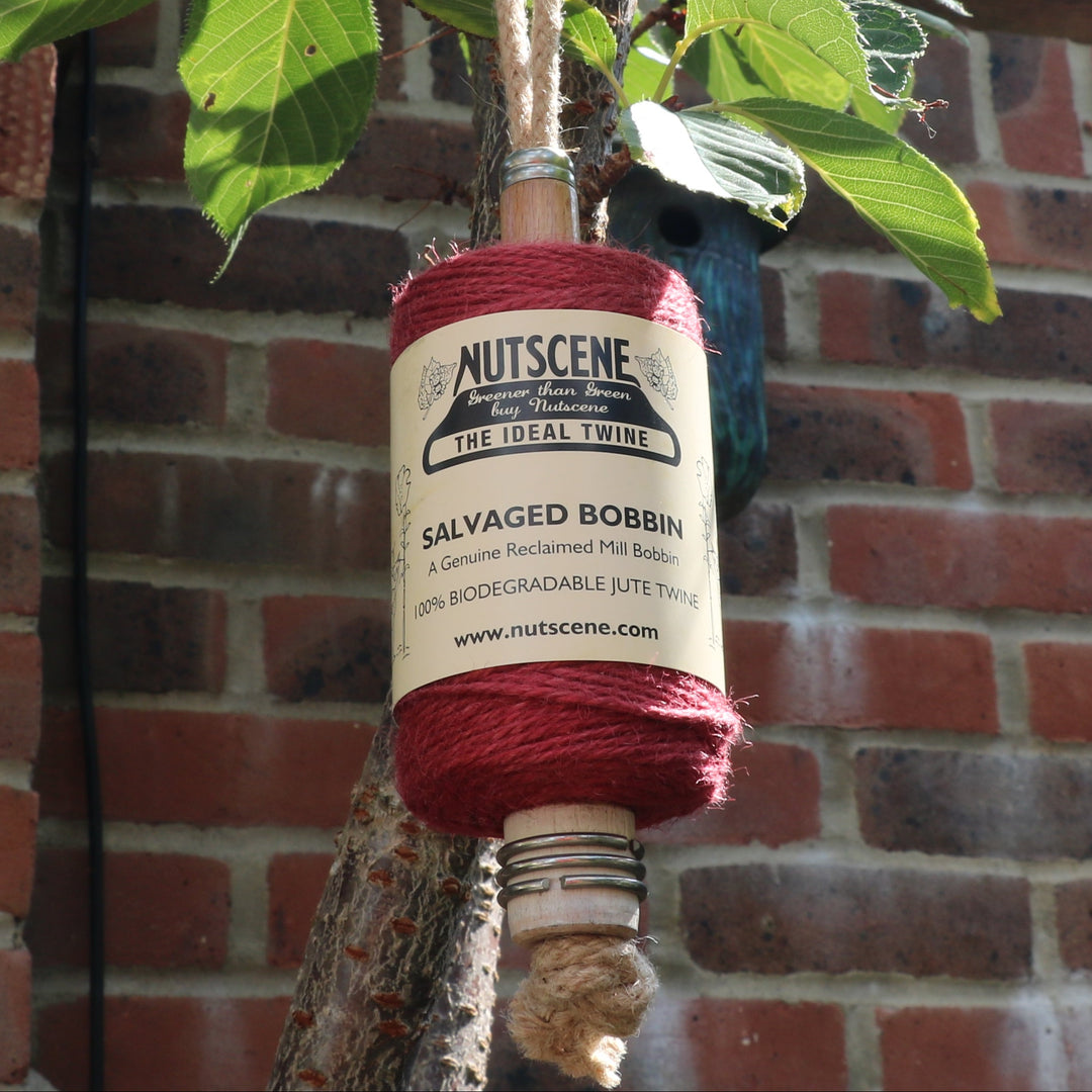 Spool of garden twine on a mill bobbin loop hanging from a tree and a brick wall background.
