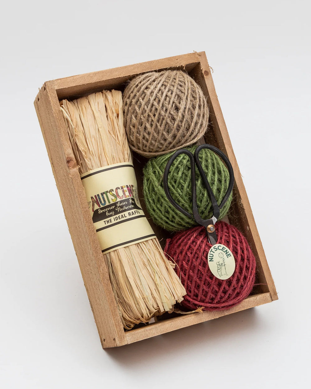 Set of pet toys including a brush, balls, and a ball with a handle in a wooden box on a white background.