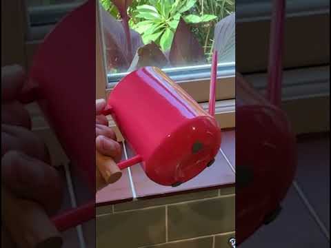 Burgon & Ball Coral Collector Indoor Watering Can