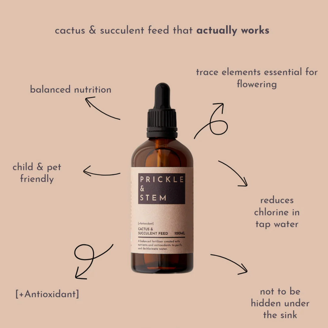 Bottle of Prickle & Stem plant fertiliser with features listed on a beige background