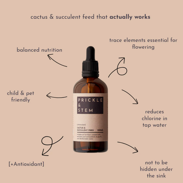 Bottle of Prickle & Stem plant fertiliser with features listed on a beige background